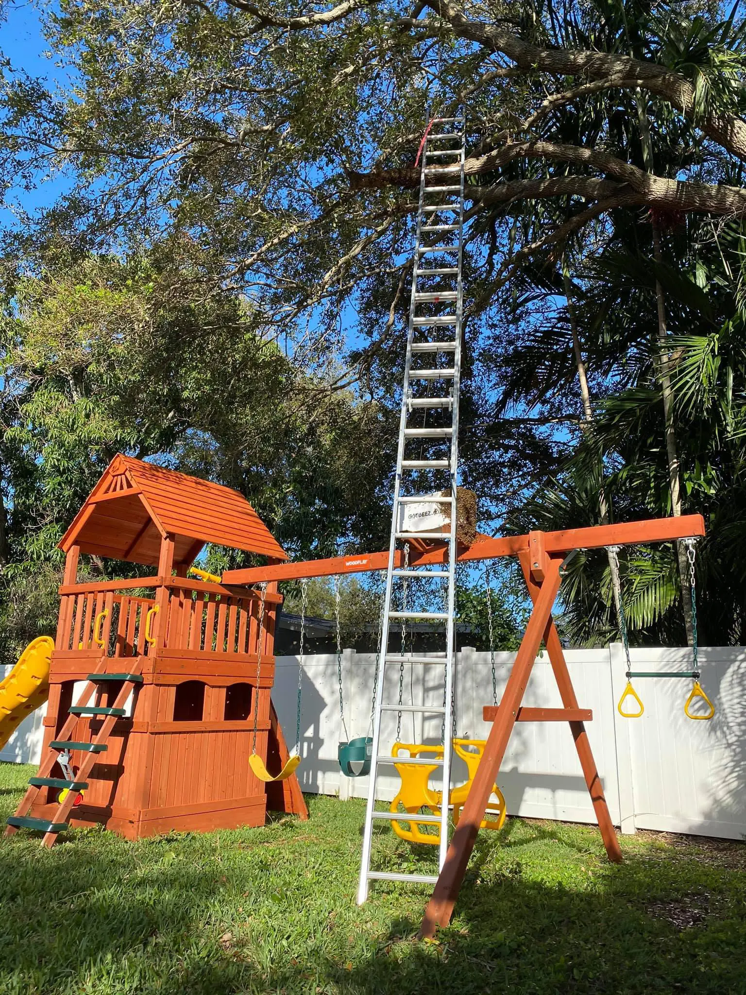 bee-removal-in-playground-fort-lauderdale