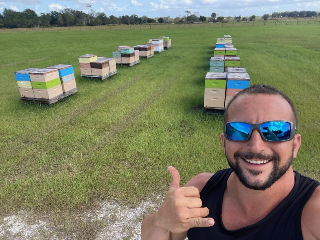 bee hives fort lauderdale