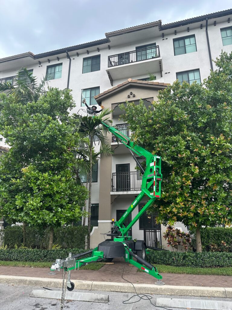 commercial bee removal fort lauderdale